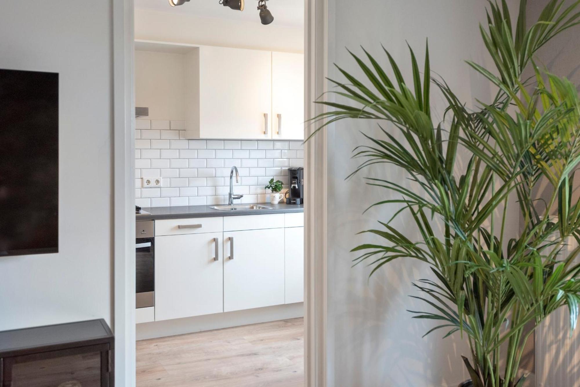 Beach&Dunes Apartment Zandvoort Esterno foto